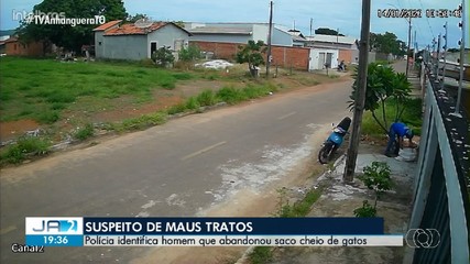 Suspeito de abandonar filhotes de gatos é identificado pela Polícia Civil