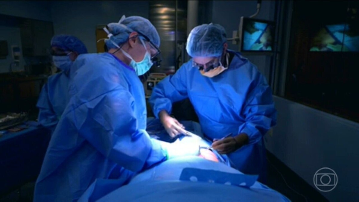 El primer paciente sometido a un trasplante de riñón de cerdo murió dos meses después de la cirugía en Estados Unidos de América |  salud
