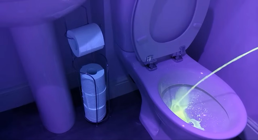 xixi em pé | Foto: Reprodução/QS Supply