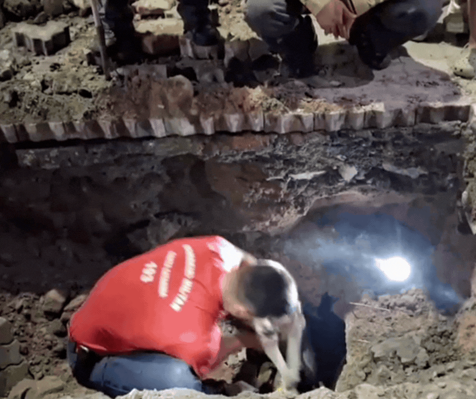 Resgate de cão cego em tubulação subterrânea abre 5 metros de rua e mobiliza retroescavadeira em SC; VÍDEO 