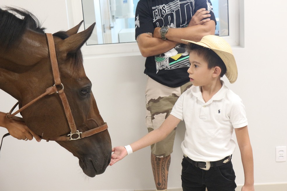 Entenda como o cavalo se movimenta – Adestramento Brasil