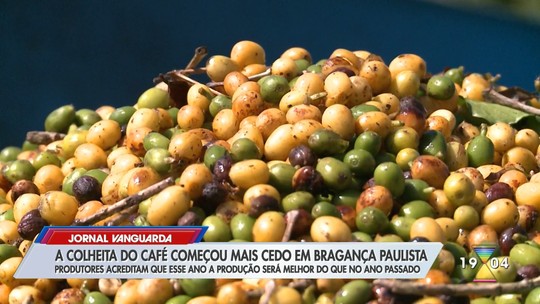Calor extremo antecipa colheita de café em cerca de um mês no interior de SP - Programa: Jornal Vanguarda 