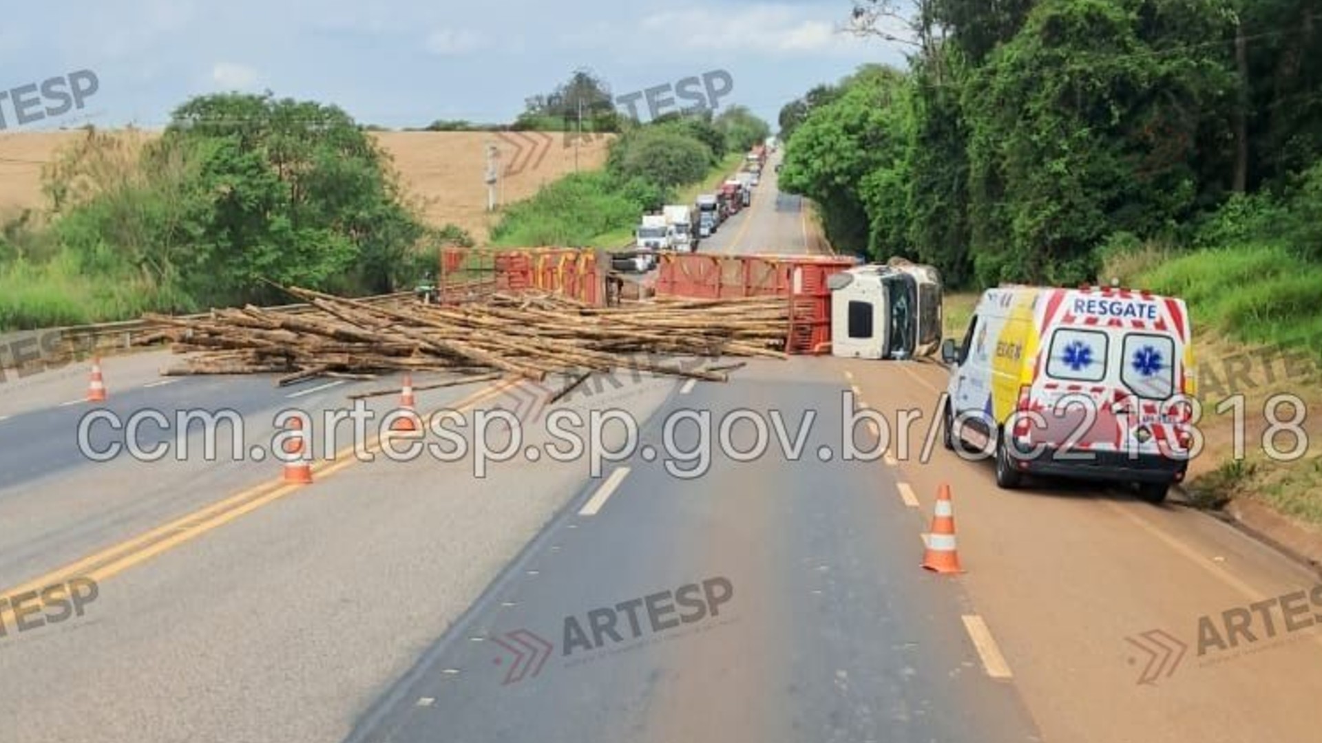Carreta carregada com pinus tomba e interdita a Raposo Tavares em Angatuba