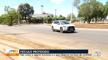 Saiba como manter seu veículo protegido com seguro