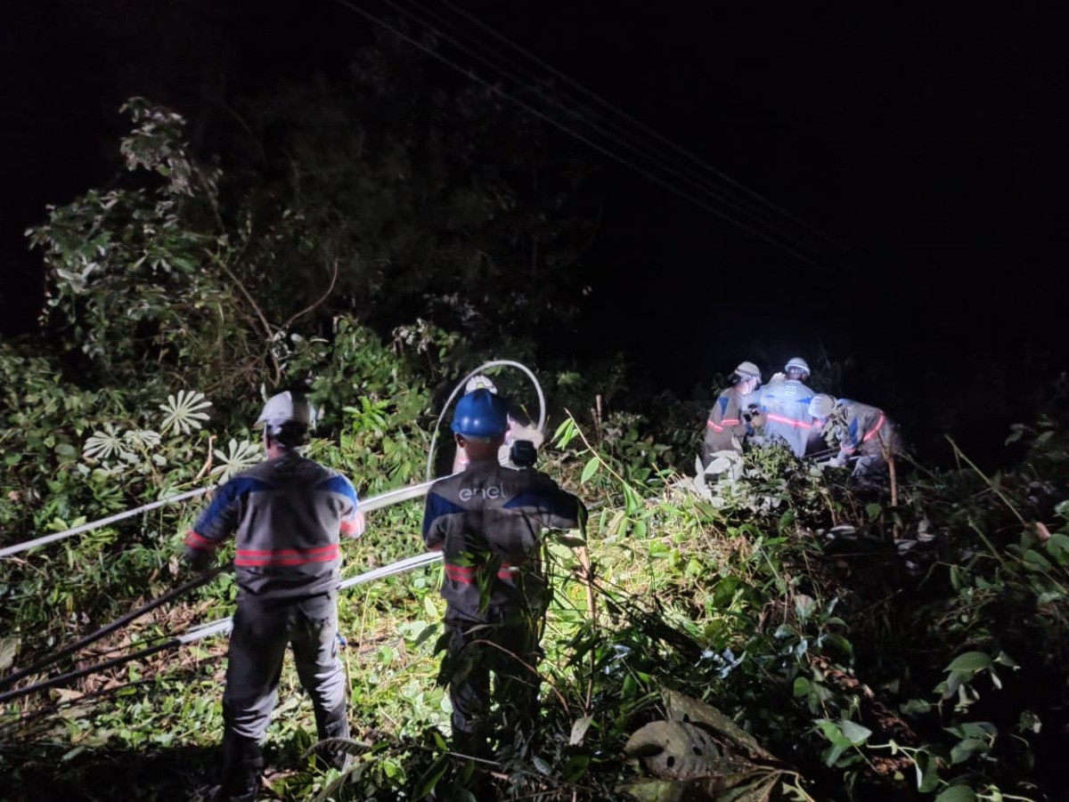 Queda de árvore de grande porte deixa mais de 15 mil clientes sem energia em Paraty