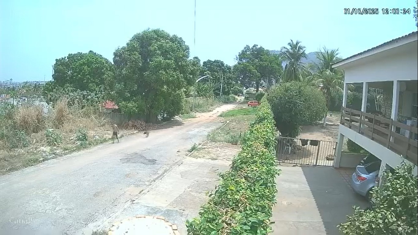 VÍDEO: homem é preso após ser flagrado ateando fogo em parque de MT 