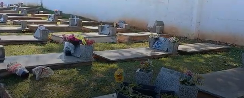 No Cemitério da Paulicéia, em São Bernardo do Campo, placas e peças de ...