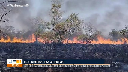 Tocantins tem alertas para queimadas