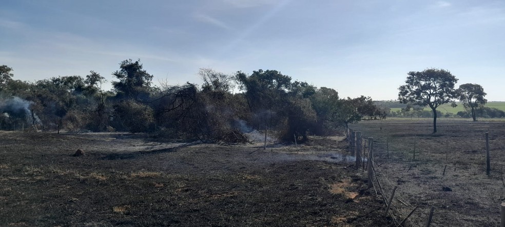 Incêndio destrói 90 mil m² de área de vegetação, em Martinópolis (SP) — Foto: Defesa Civil