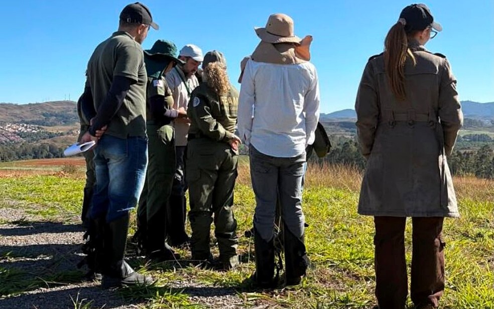 Técnicos da Feam visitam área de projeto de mineração de terras raras em Poços de Calda — Foto: Prefeitura de Poços de Caldas/Divulgação