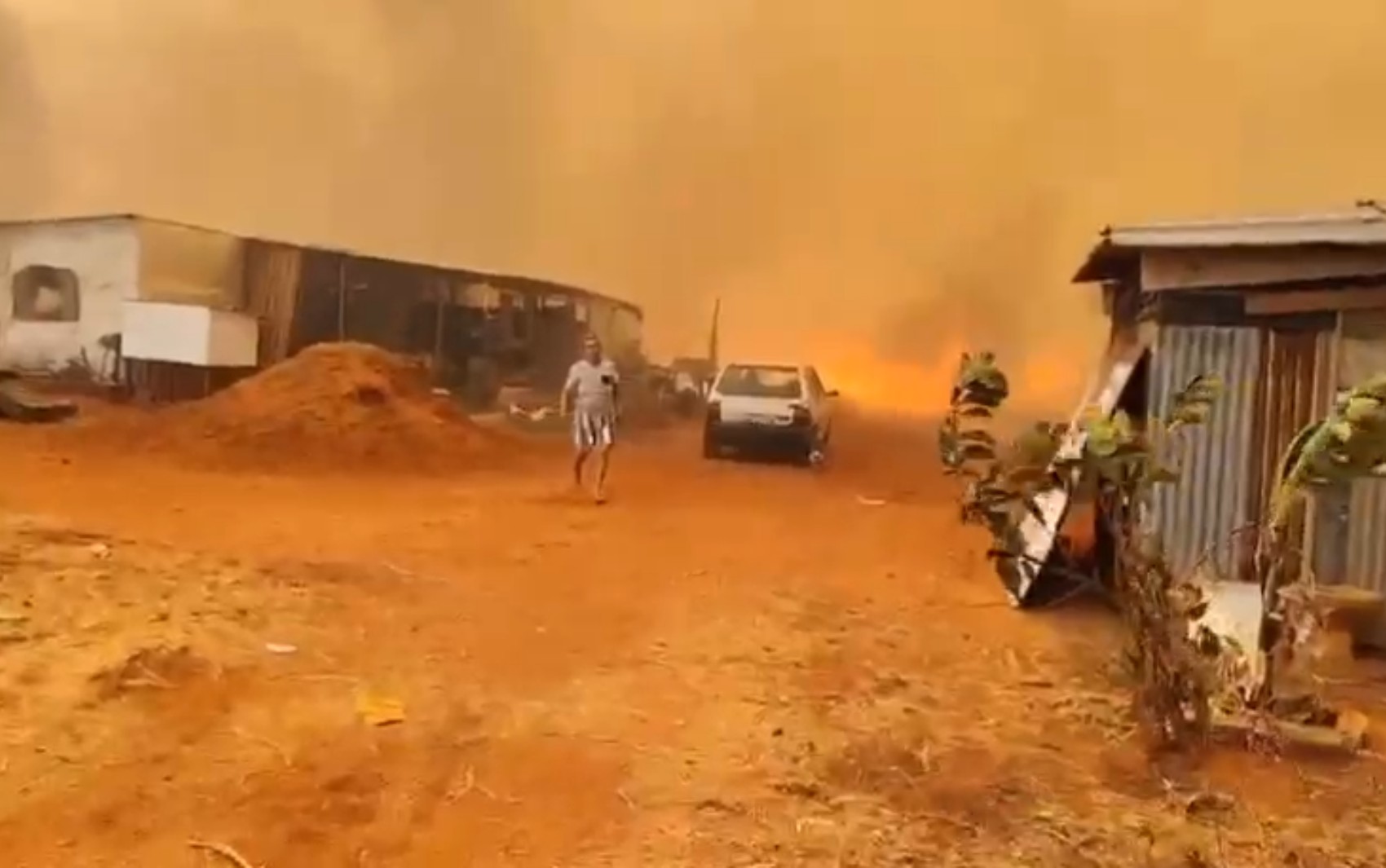 Moradora de assentamento em Colômbia, SP, se arrisca em incêndio para salvar animais