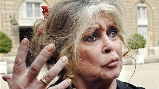 Brigitte Bardot defende Depardieu antes de veredicto em caso de agressão sexual - Atriz também defendeu o ator e diretor Nicolas Bedos, considerado culpado de agredir sexualmente duas mulheres. Ela considera que ambos deveriam poder 'seguir com suas vidas'.