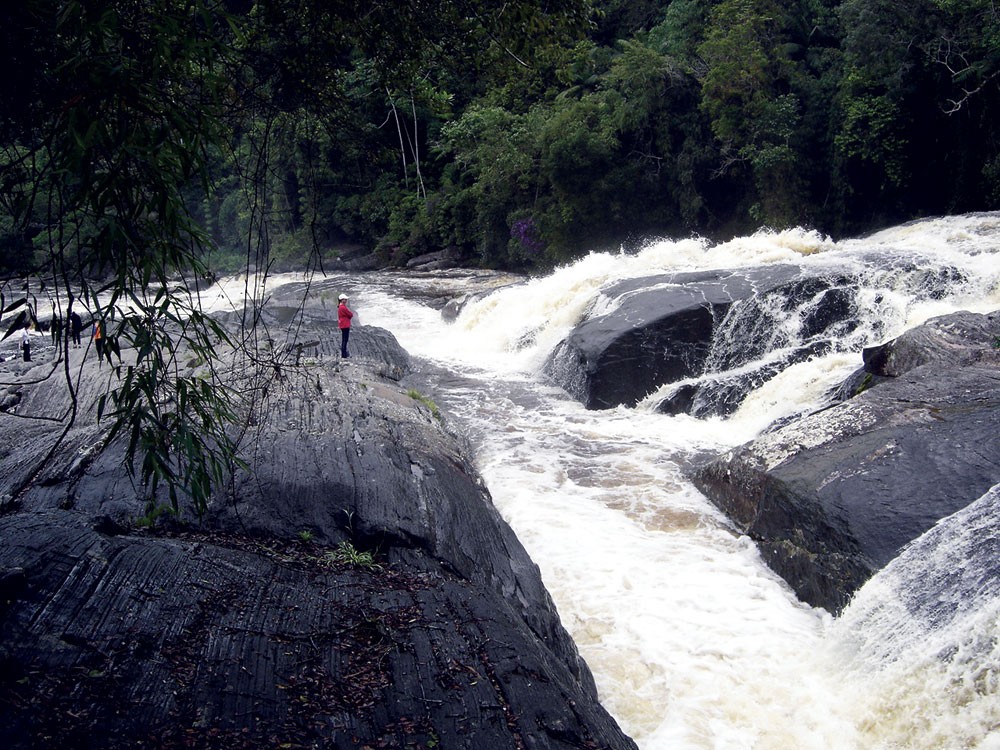 Parques e unidades de conservação ambiental estaduais reabrem na região a partir desta segunda (30); veja lista