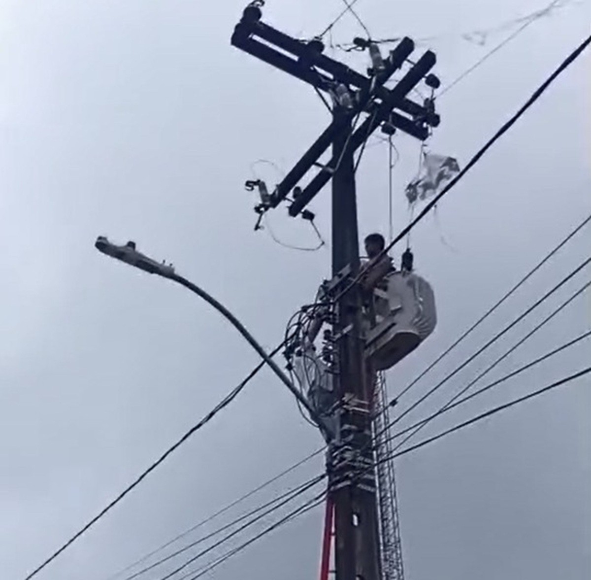 Criança leva choque após escalar poste no Recife para pegar pipa; vídeo mostra resgate