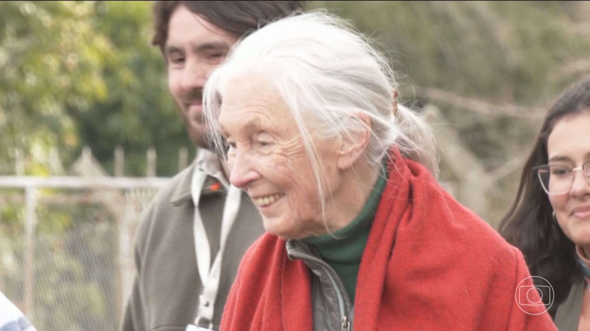 Jane Goodall, ambientalista e cientista britânica, morre aos 91 anos