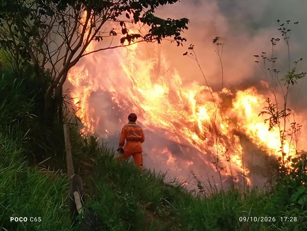 Incêndio destrói áreas de reflorestamento e mata animais em território indígena de MG