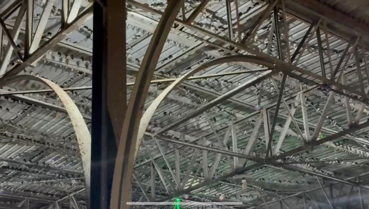 Vídeo mostra centenas de aves se abrigando em rodoviária de Campos durante temporal