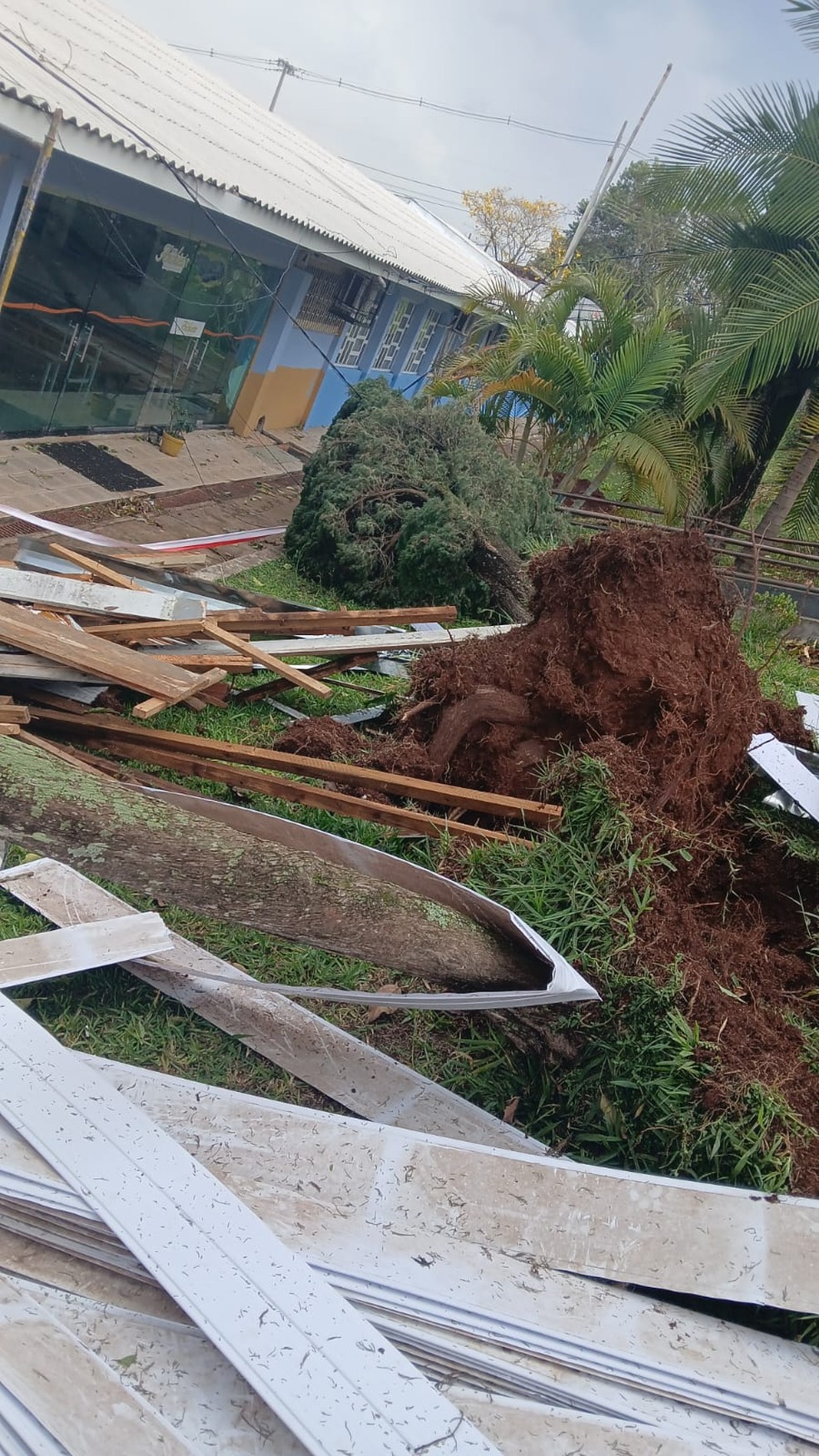 Destelhamento e queda de árvore em Dois Vizinhos — Foto: Cedida/Prefeitura de Dois Vizinhos