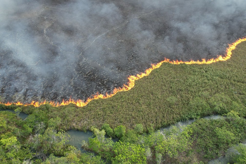 Incêndio atinge área próximo a rio turístico em Bonito (MS). — Foto: Reprodução
