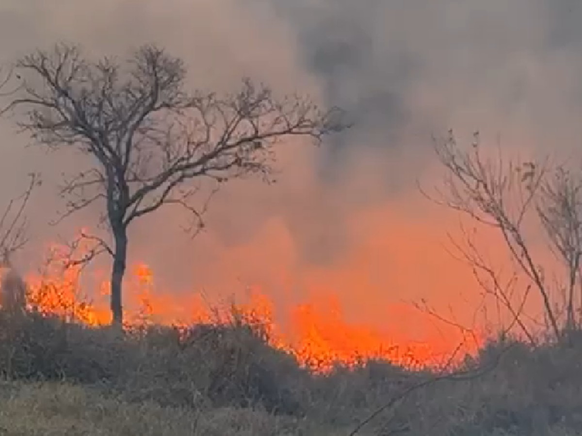 Incêndio de grandes proporções atinge área de 280 mil metros quadrados no interior de SP 