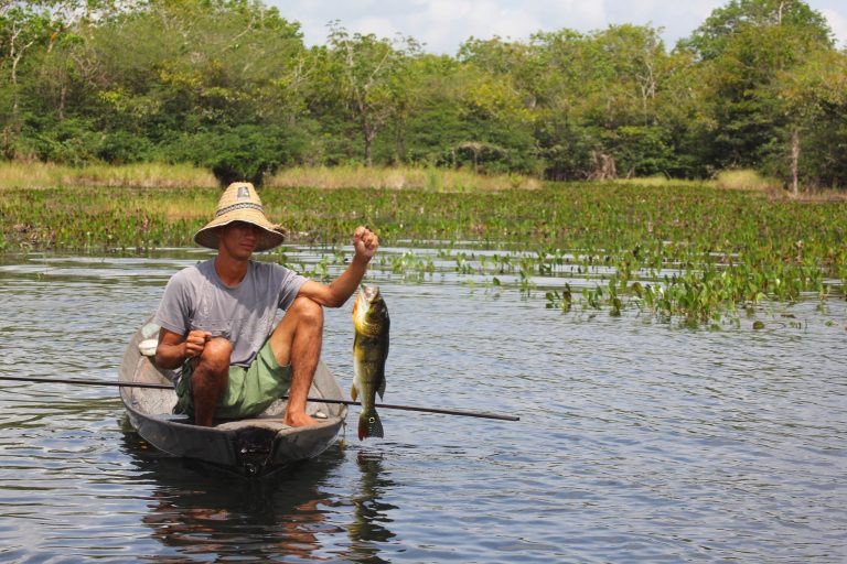 Pagamento de auxílio para pescadores afetados por estiagem no Oeste do Pará começa nesta quarta, 6