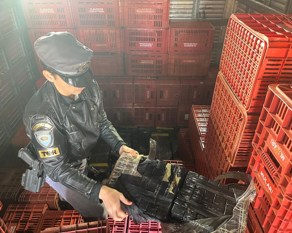 Agente da Polícia Rodoviária inspeciona tabletes de maconha apreendidos durante abordagem na Rodovia Raposo Tavares, em Paranapanema (SP) — Foto: Polícia Rodoviária/Divulgação