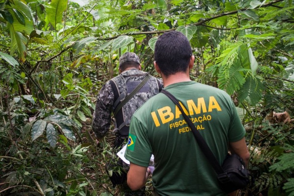 Ibama publica edital de concurso com 460 vagas e salrio de at R$ 9,9 mil;  veja como participar | Concursos | G1
