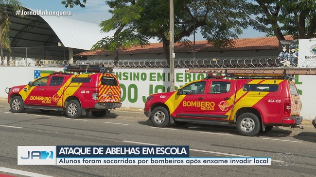 Enxame de abelhas ataca alunos de escola pblica em Goinia