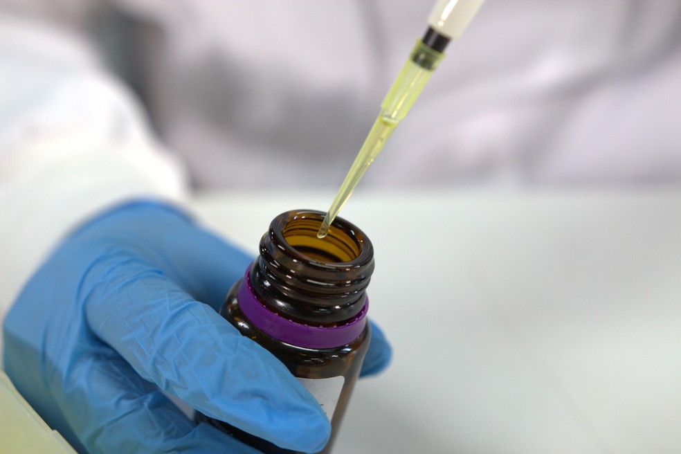 Estudo liderado pela Unila aponta que extrato com THC e CBD teve resultados significativos no tratamento de pacientes com Alzheimer — Foto: LCP