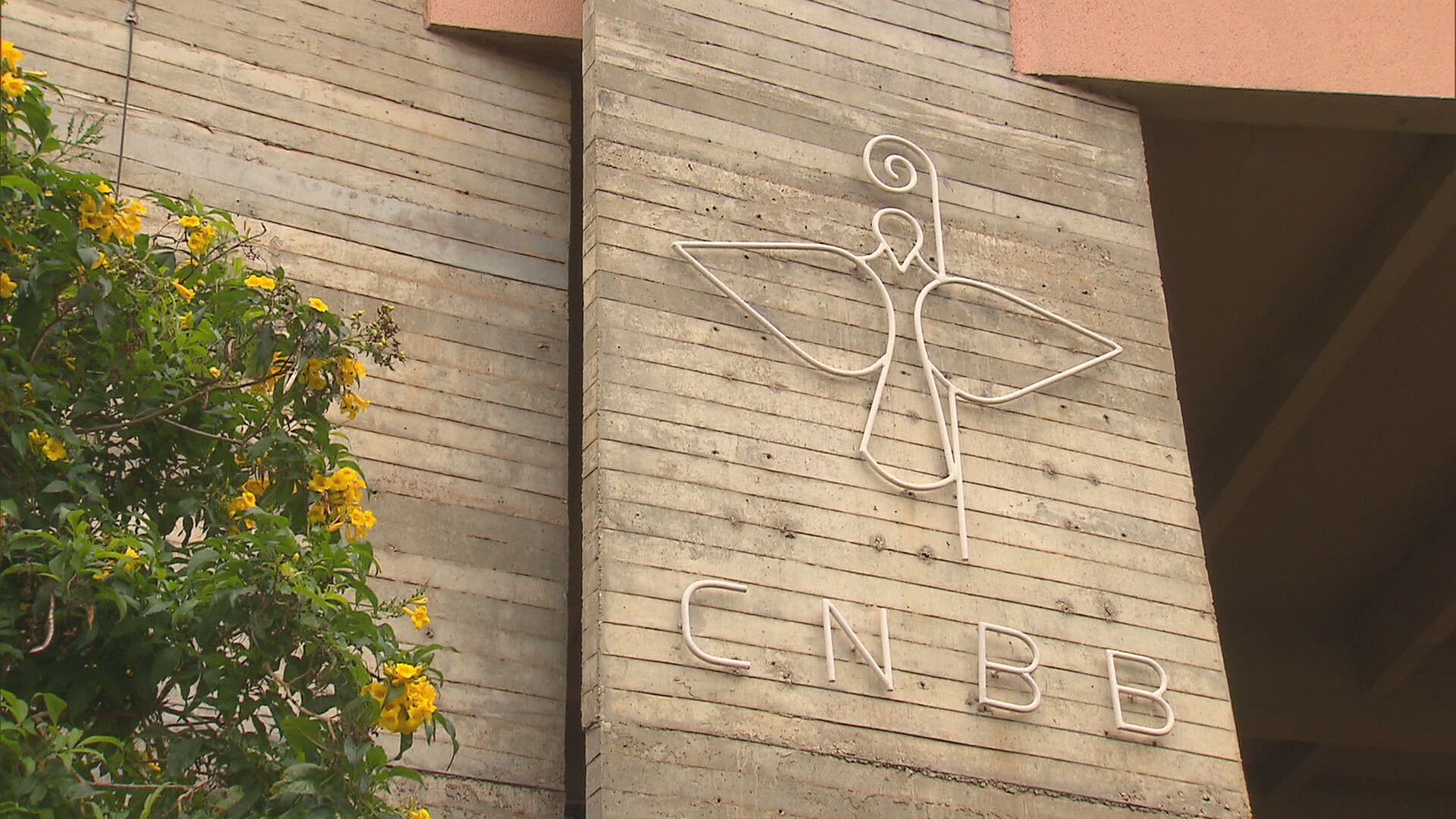 CNBB prega respeito ao resultado das urnas e encoraja voto: 'Atentos aos pobres, aos ameaçados e aos que trabalham pela Justiça'