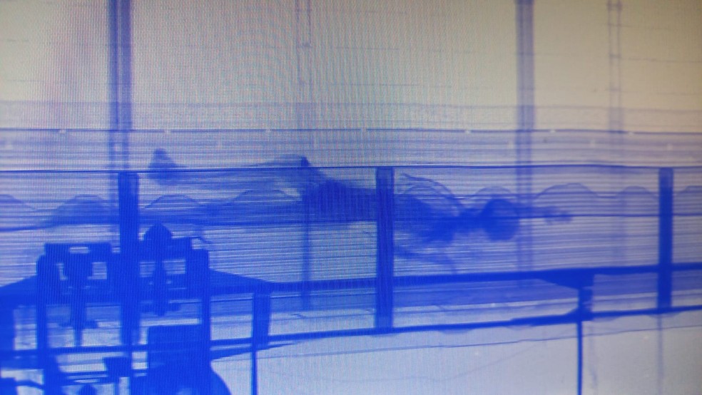 Escaneamento apontou a presença de uma silhueta de corpo humano dentro de contêiner no Porto de Santos, SP — Foto: Receita Federal/Divulgação