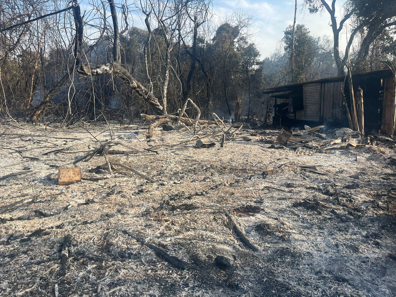 'Perdemos tudo': incndio de grandes propores em vegetao atinge casas de aldeia; veja vdeo