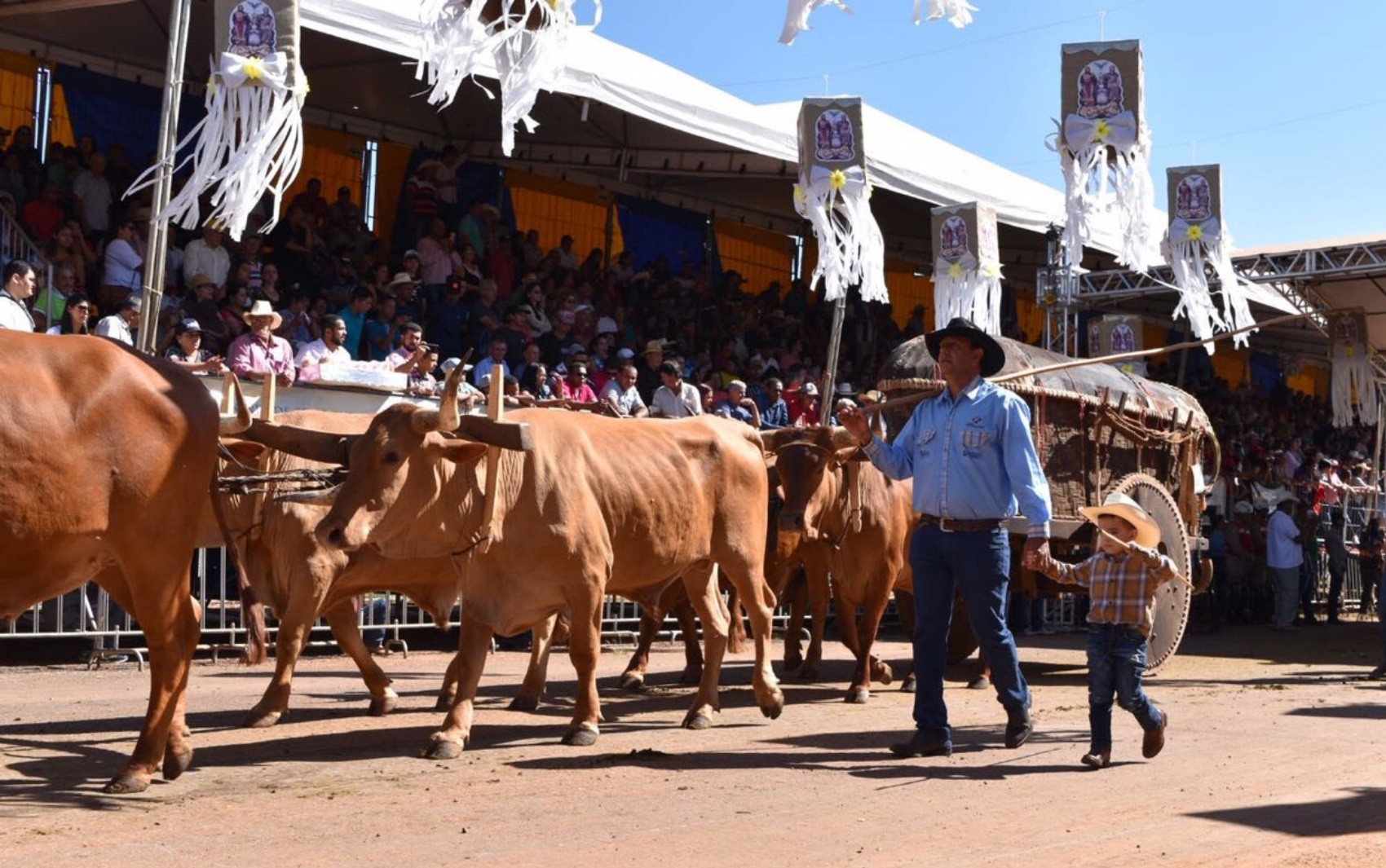 Dias na estrada e décadas de tradição: veja curiosidades sobre o encontro de carreiros que acontece durante a Romaria do Divino Pai Eterno