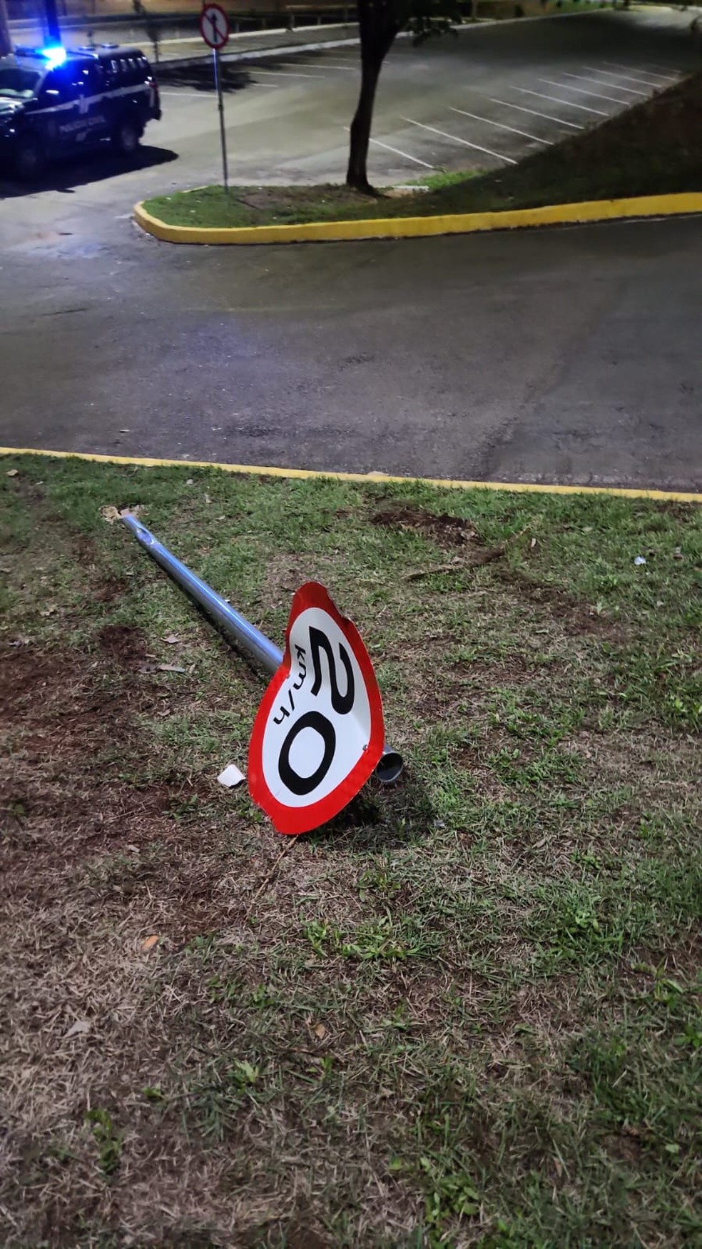 a tia perdeu o controle da direção do veículo e bateu em uma placa de sinalização, que atingiu as vítimas — Foto: Reprodução