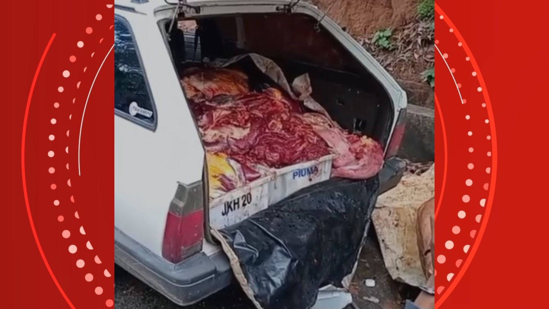 VÍDEO: dupla é presa com quase 400 kg de carne de cavalo e um dia depois,  cemitério clandestino é encontrado no ES 