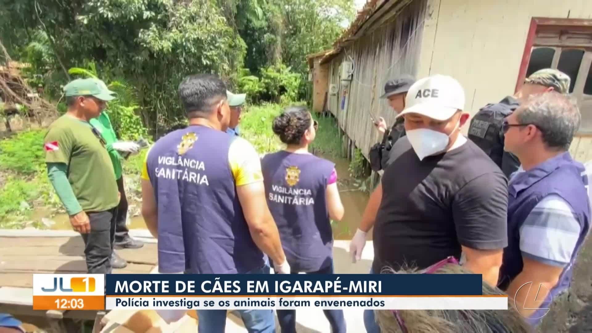 VÍDEOS: JL1 de quinta-feira, 1º de maio de 2025