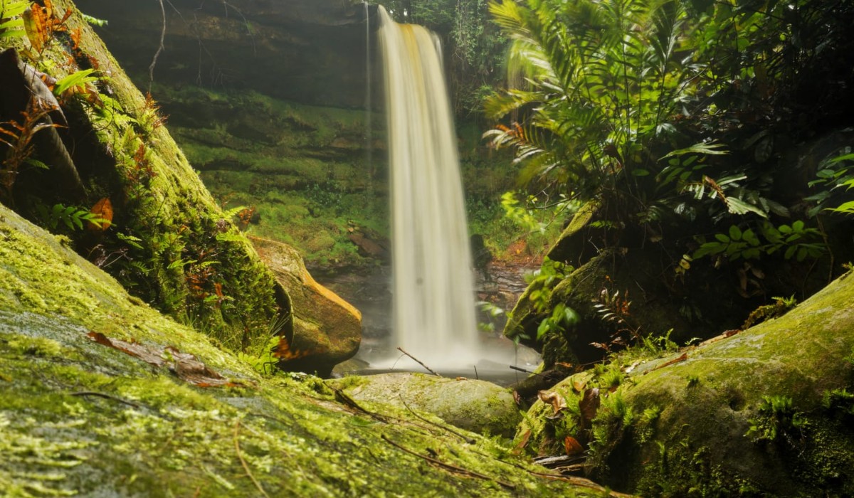 Caso do Pico Paraná vira alerta para turistas e guia dá dicas para quem busca trilhas no Amazonas