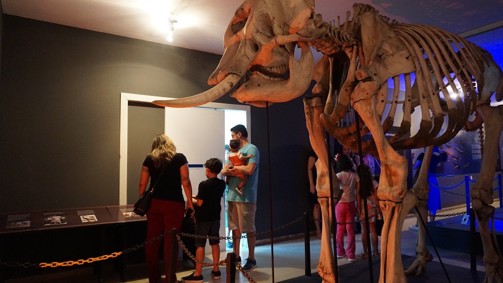 Museu Câmara Cascudo, em Natal, tem programação especial esta semana — Foto: MCC/UFRN/Divulgação