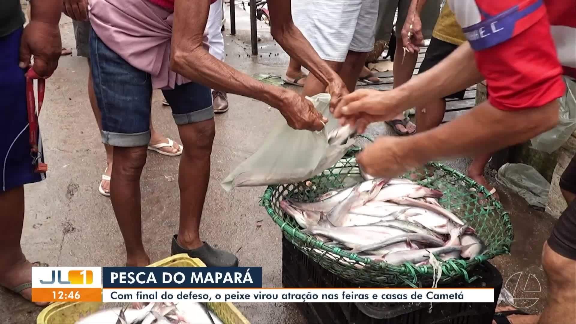 VÍDEOS: JL1 de terça-feira, 3 de março de 2026