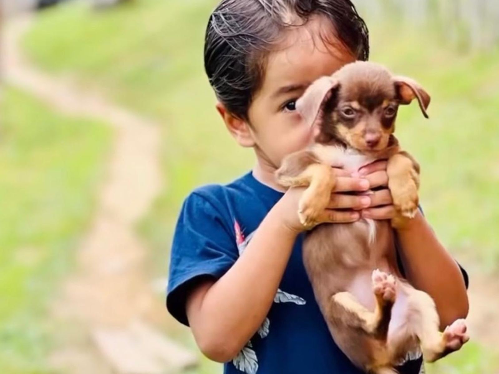 Cadela foge assustada com fogos na virada do ano no Acre e é reencontrada: 'Desespero total'