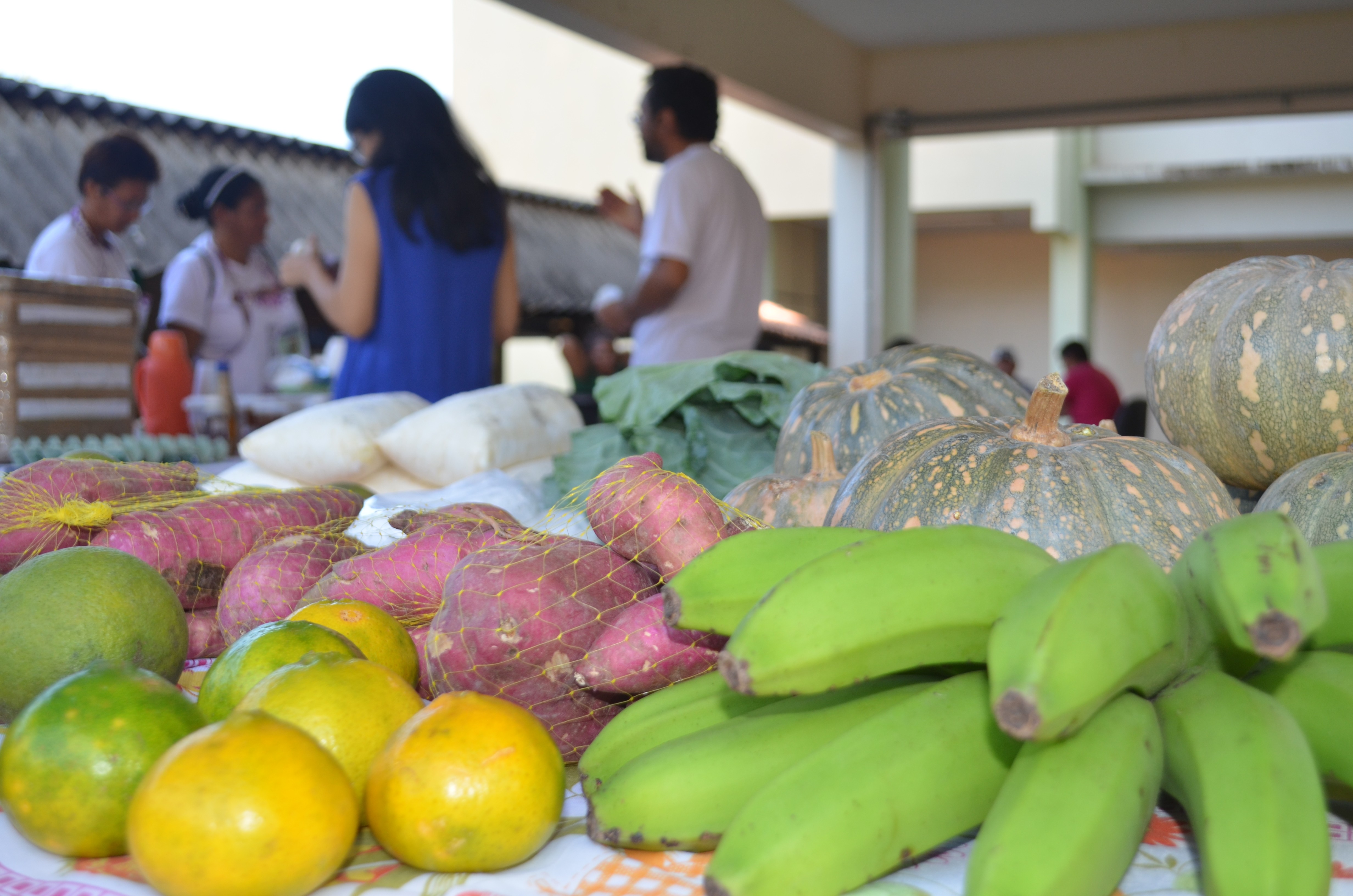 Feira da agricultura familiar da Ufopa tem primeira edição de 2026 nesta quinta-feira, 5