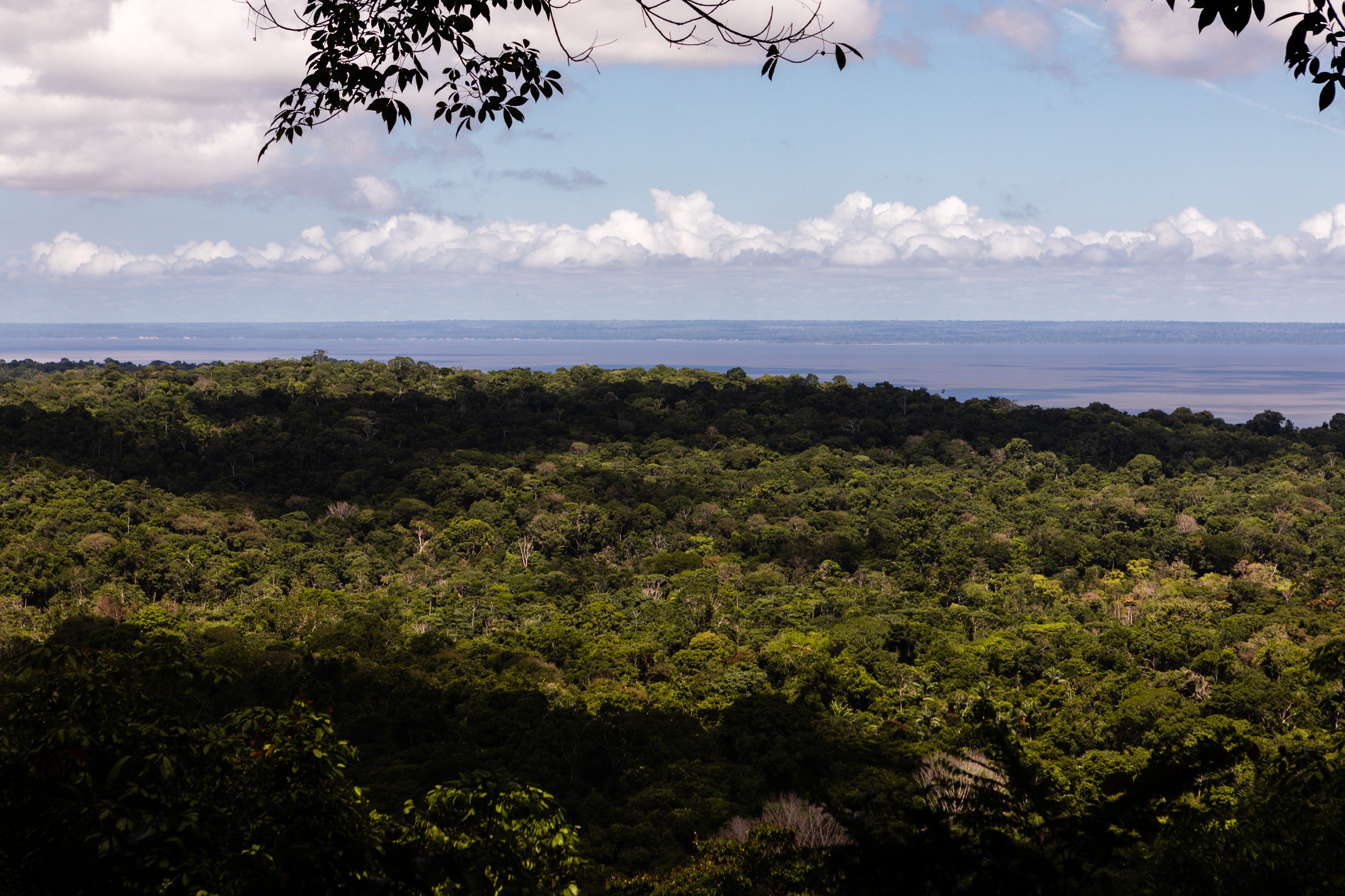 Reino Unido anuncia investimento em fundo criado pelo Brasil para proteção de florestas tropicais