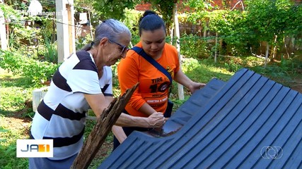 Armadilha ajuda monitorar presença do mosquito transmissor da dengue