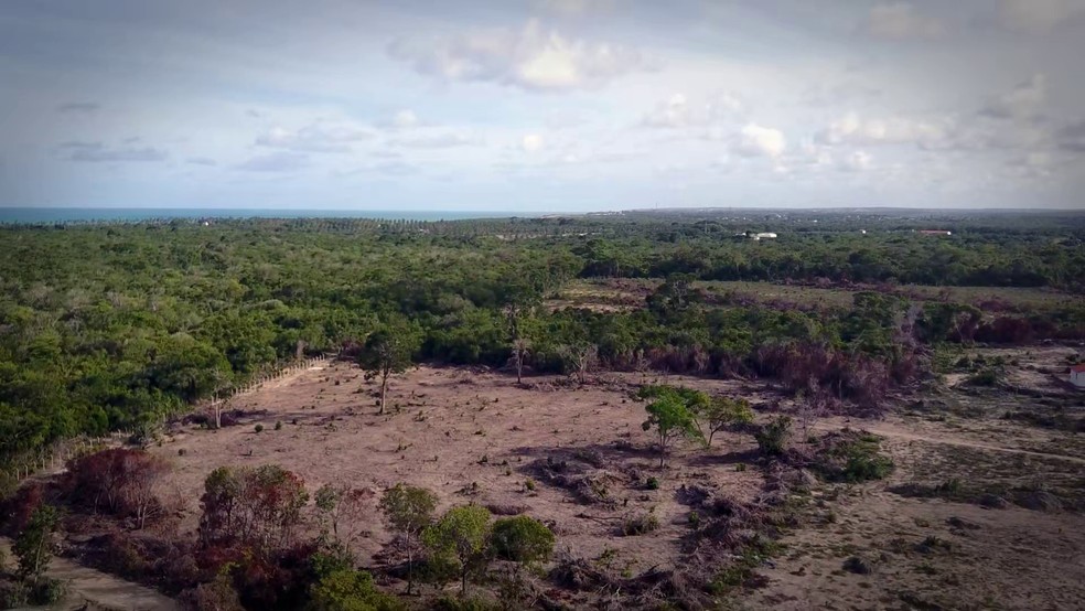 No Nordeste, a Paraba e o Rio Grande do Norte foram os estados que mais apresentaram aumentos expressivos na rea de vegetao suprimida, um crescimento que representa mais de 100%  Foto: Reproduo/TV Cabo Branco