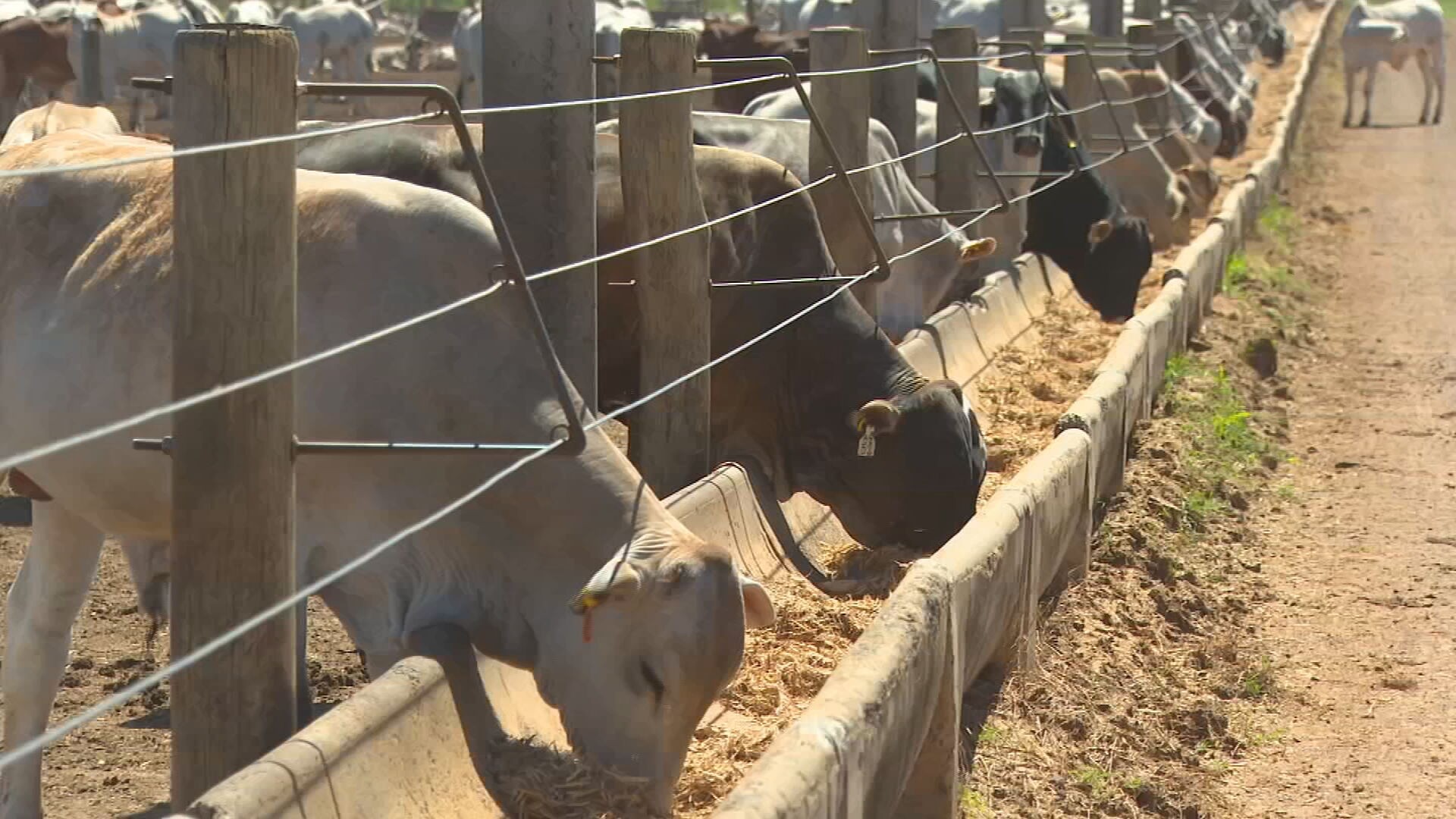 Tempestades com raios são um perigo na zona rural