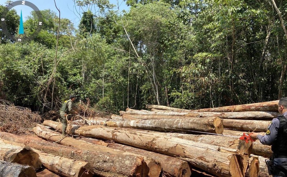 A ação foi realizada entre os dias 23 de outubro e 1° de novembro deste ano — Foto: SEMA MT