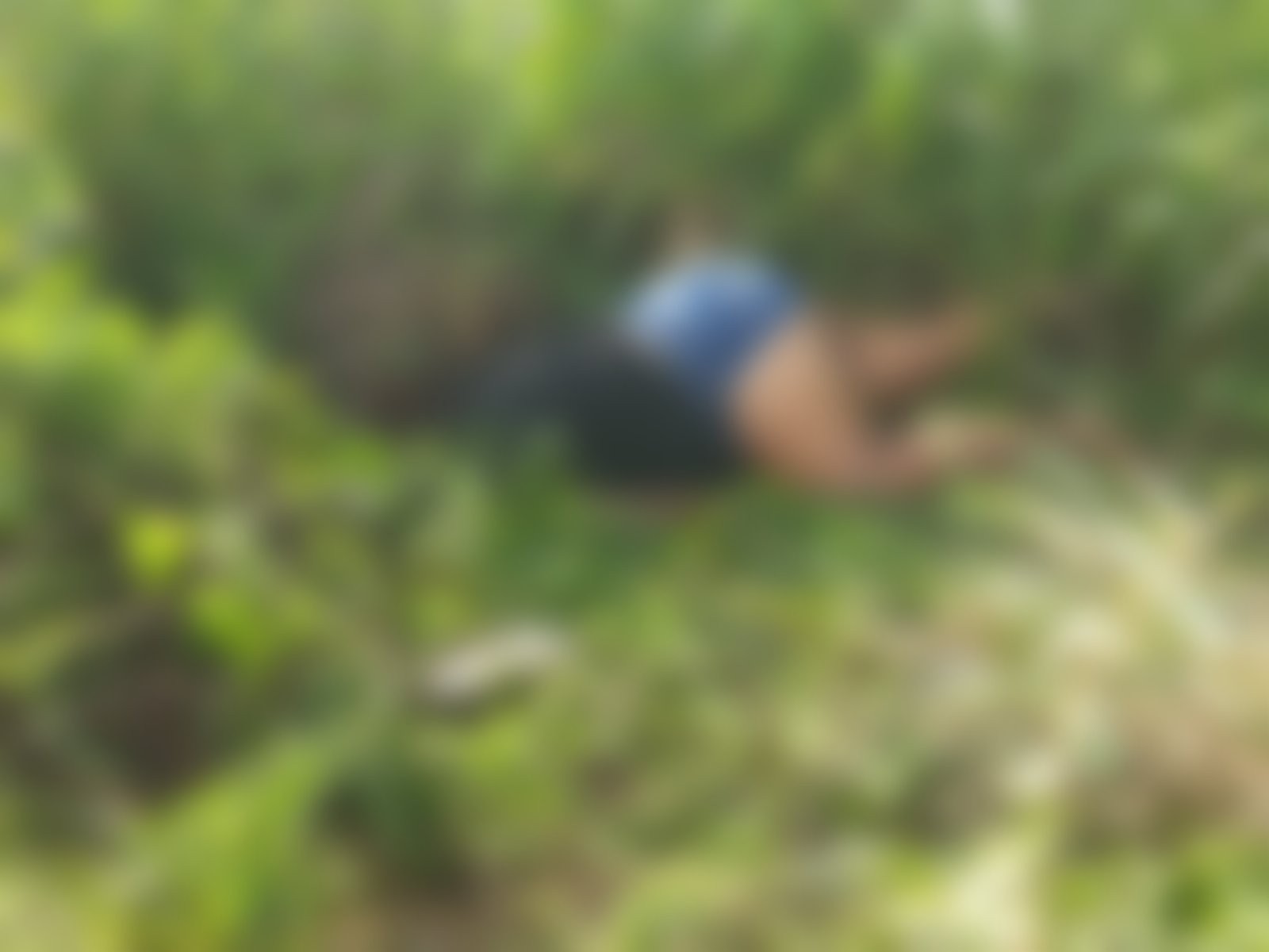 Corpo de mulher é encontrado às margens de rodovia em Jaramataia, interior de AL