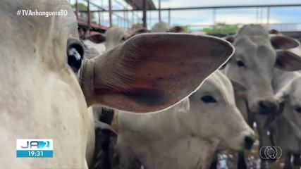 Confira os destques do Jornal do Campo deste domingo (26)