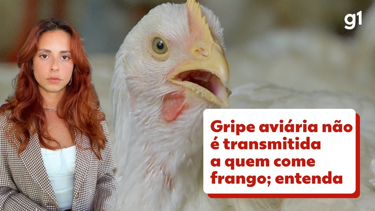 Ministério descarta suspeita de gripe aviária em granja comercial em TO