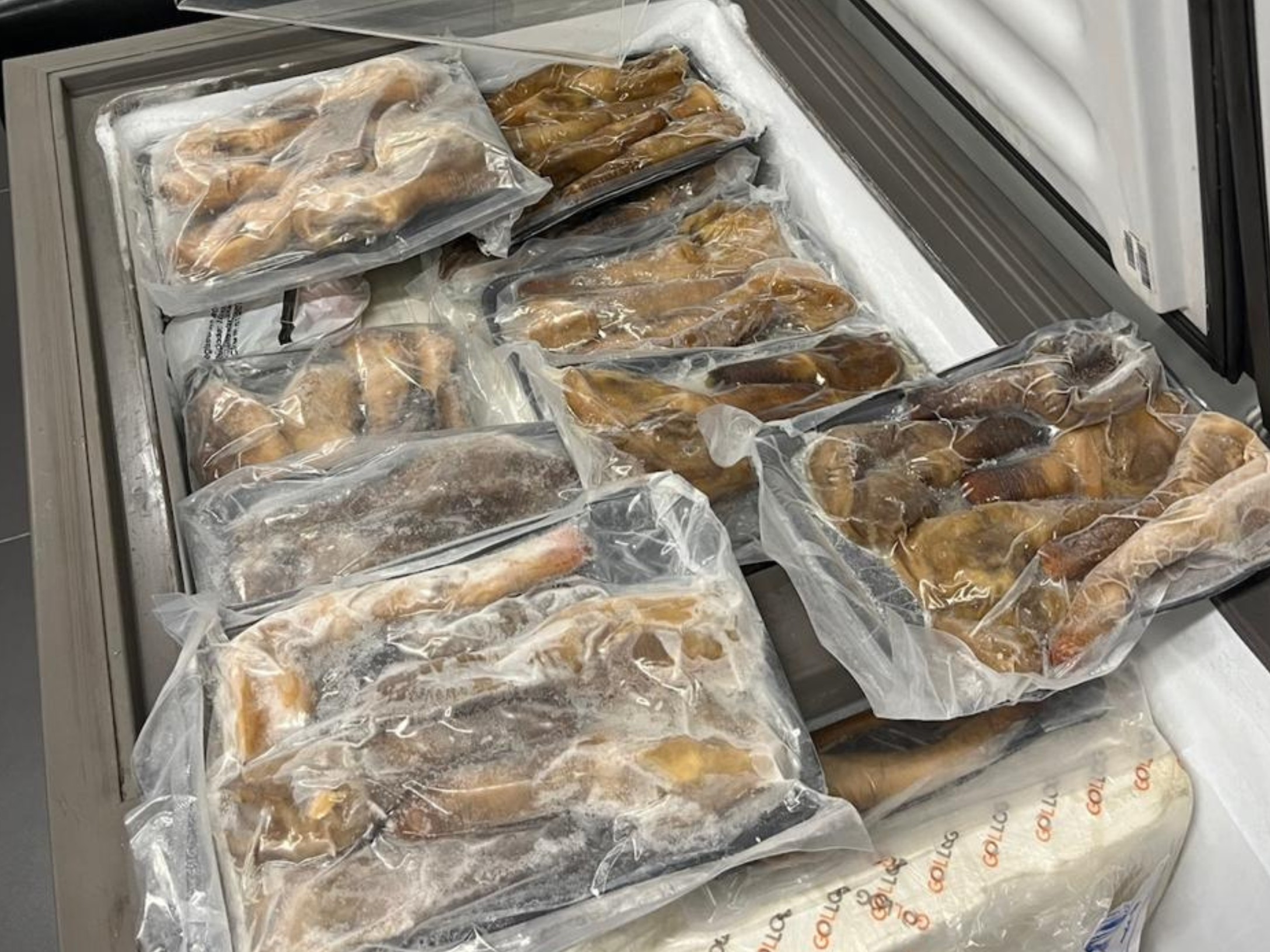 Receita Federal apreende 74 kg de moluscos exóticos escondidos em carga de salmão no Aeroporto de Foz do Iguaçu